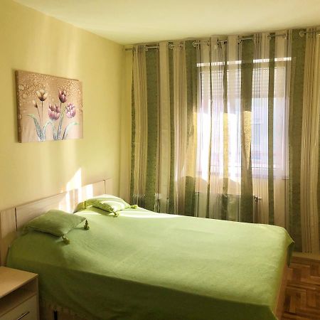 Apartman Ivana Apartment Novi Sad Exterior photo